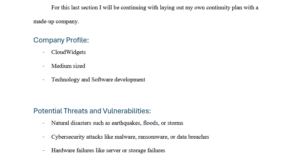 an exerpt from my paper going over a made-up company I made